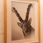 Ξενοδοχείο Les Chamois 3*