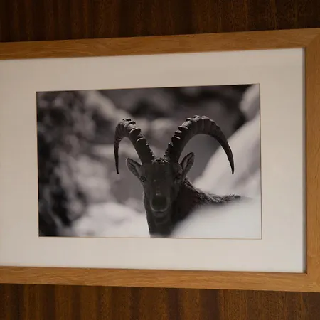 Les Chamois Hotell Verbier