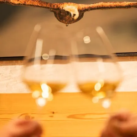 羚羊酒店 酒店 韦尔比耶