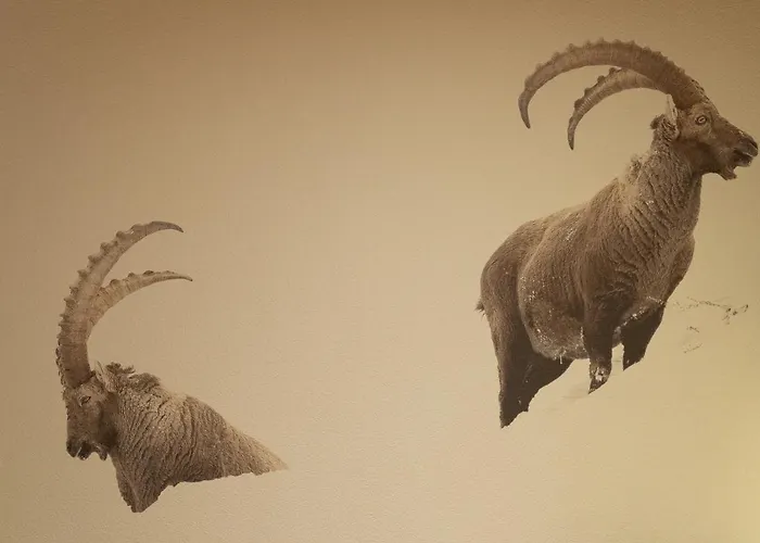 Hotel Les Chamois 3*