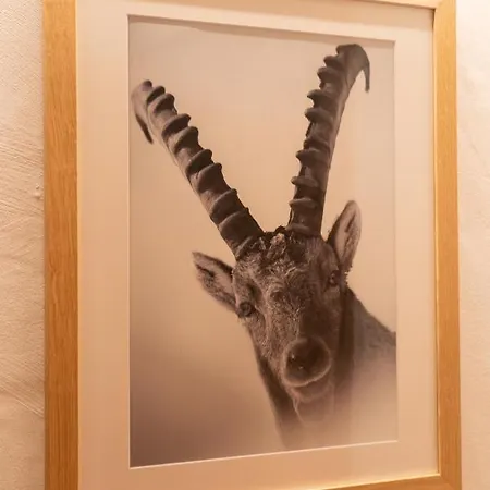 ホテル Les Chamois 3*
