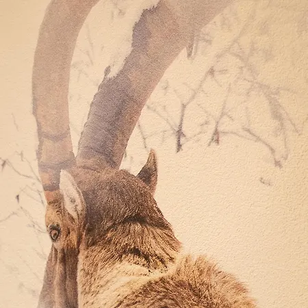 Les Chamois 3* ヴェルビエール